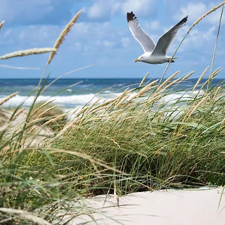 In Het Zoute With Sea Views