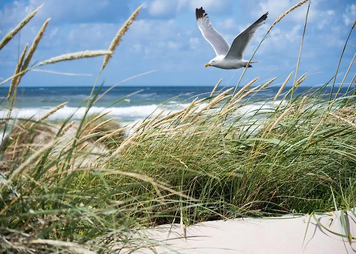 In Het Zoute With Sea Views